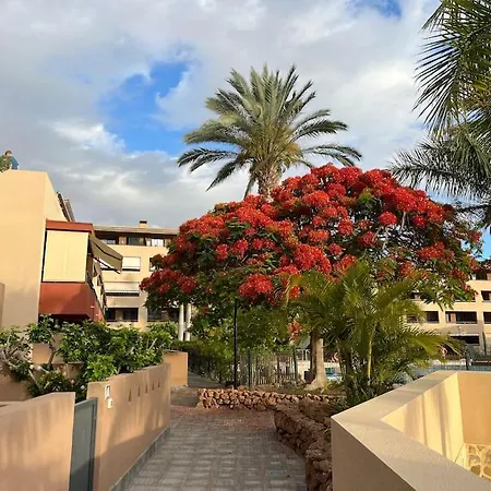 Sun And Sea Vacation In The Heart Of Playa Paraiso * Адехе